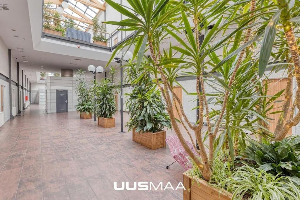 Charming Loft Near Old Town Apartman Tallinn Kültér fotó